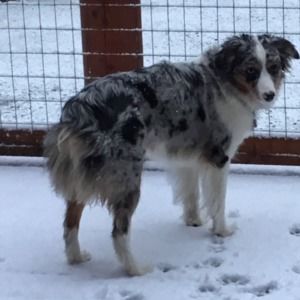 Meet your Posher, Pete